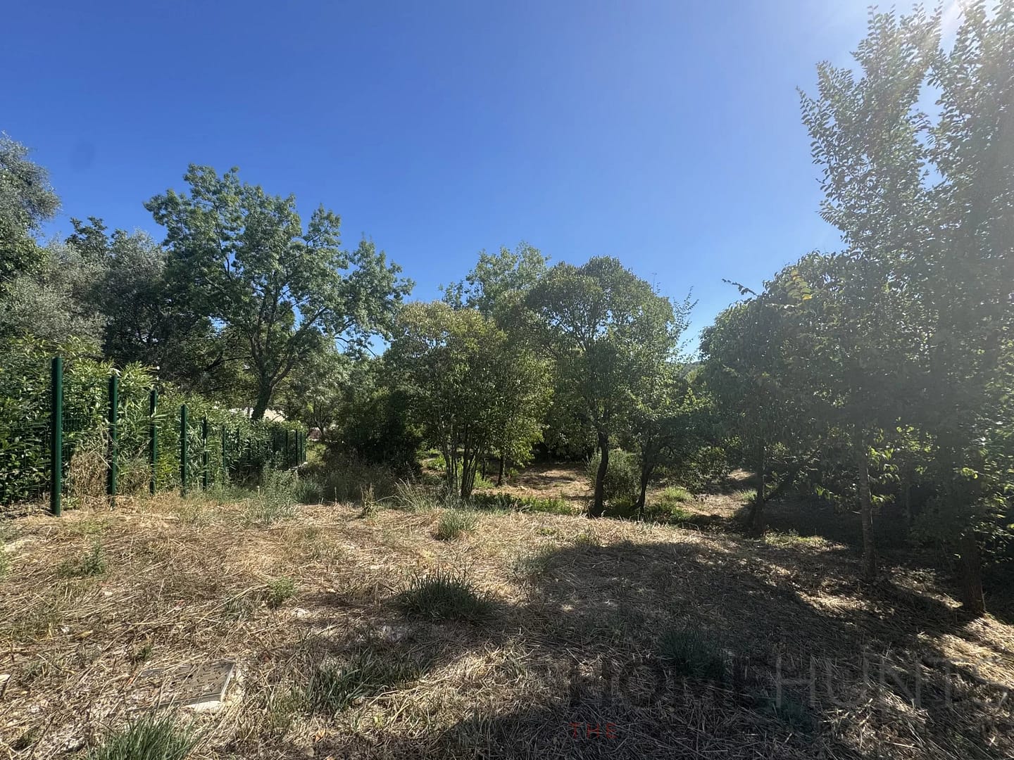 property_HH-15925791-7