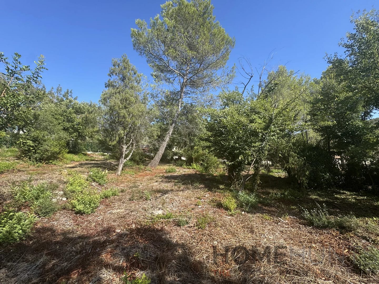 property_HH-15925791