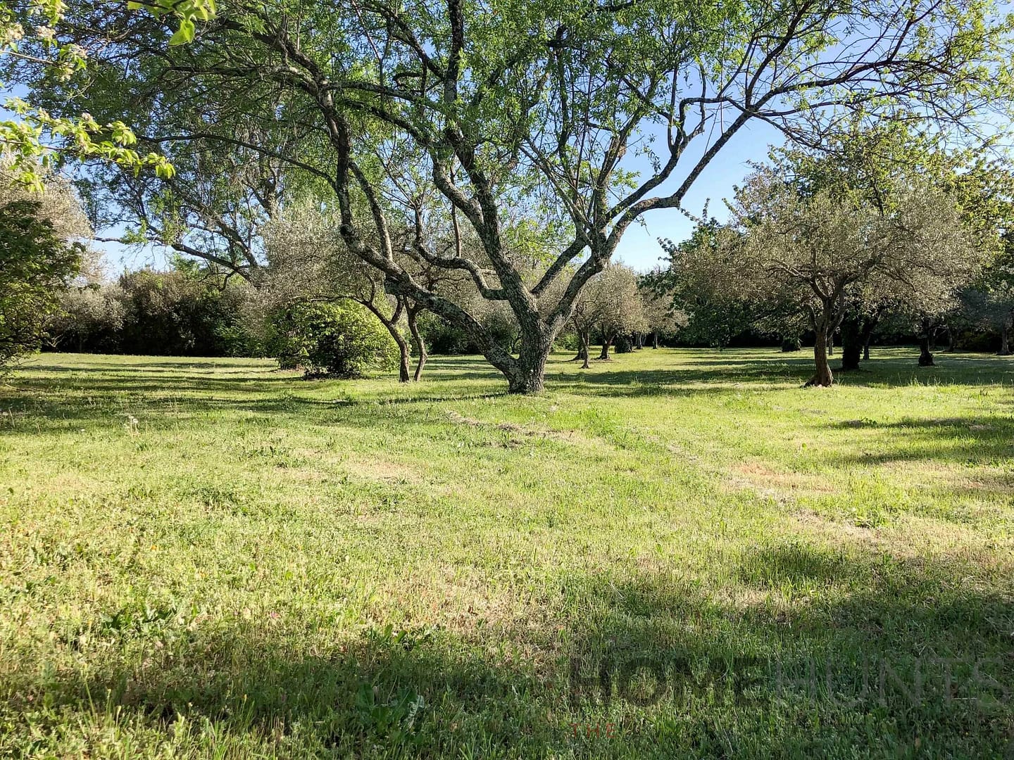 property_HH-15439922-13