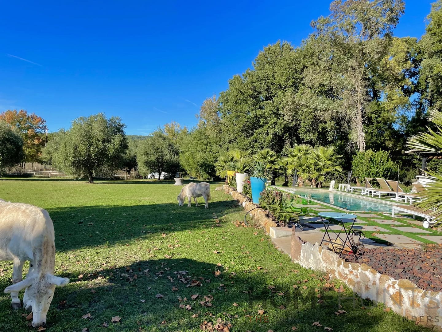 property_HH-15976286-26