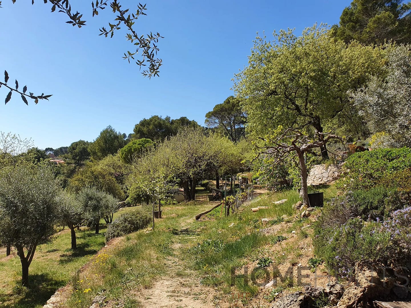 property_HH-15990618-29