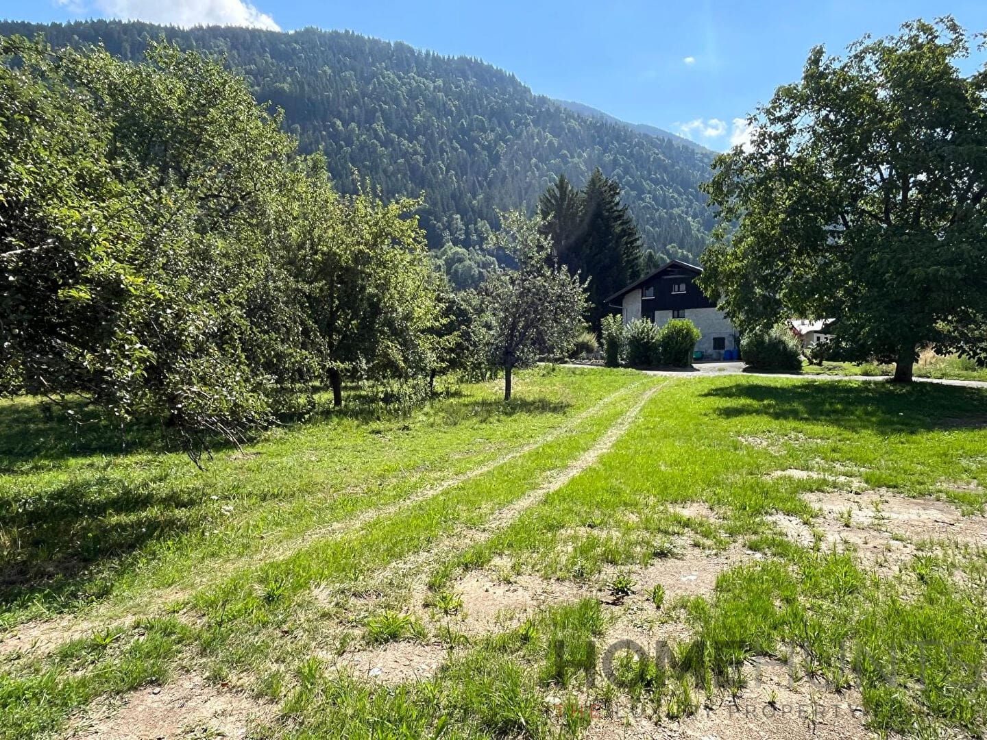 property_HH-16007516-3