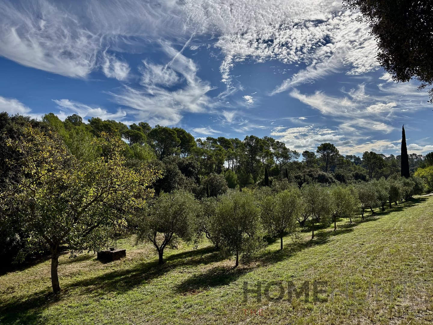 property_HH-16014236-27