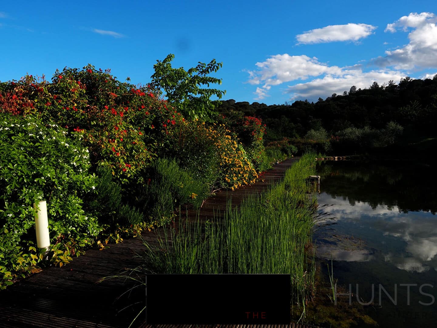 property_HH-16023898-7