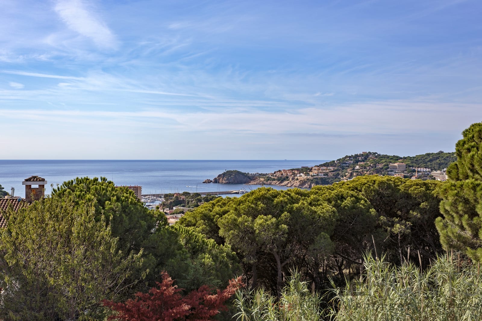 property_HH-14318276-14