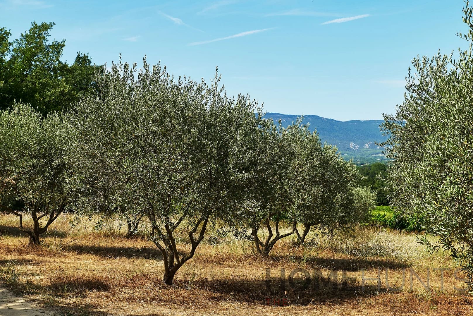 property_HH-15596188