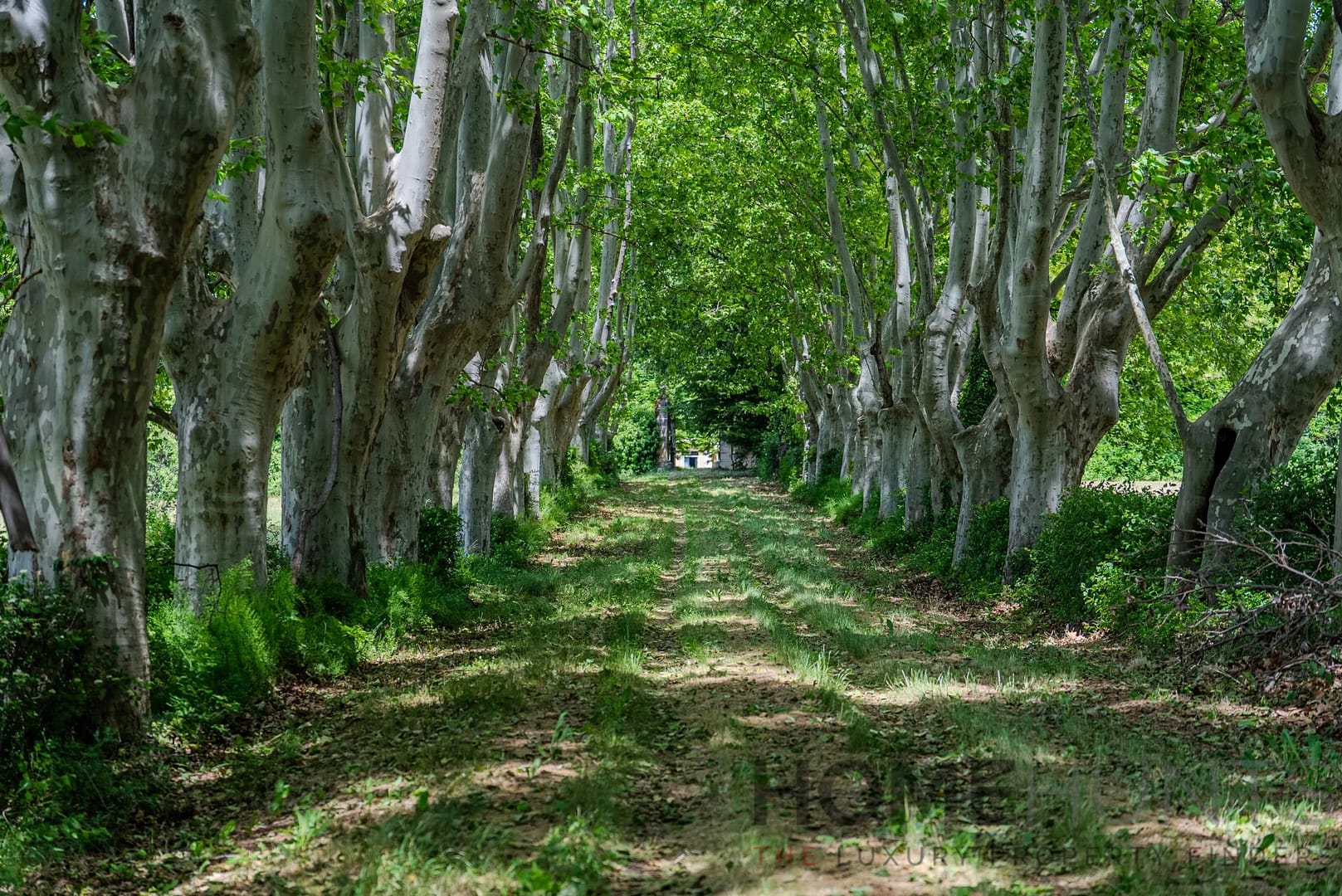 property_HH-15816469-4