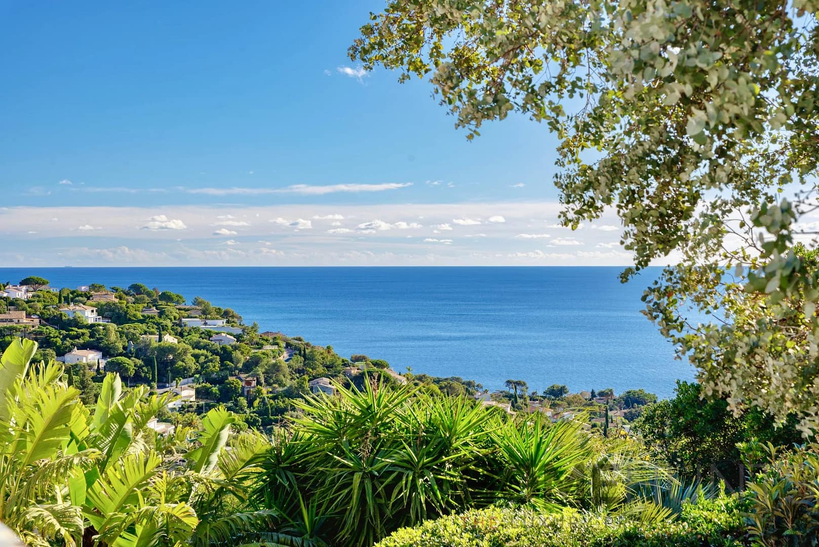 property_HH-16002862-20