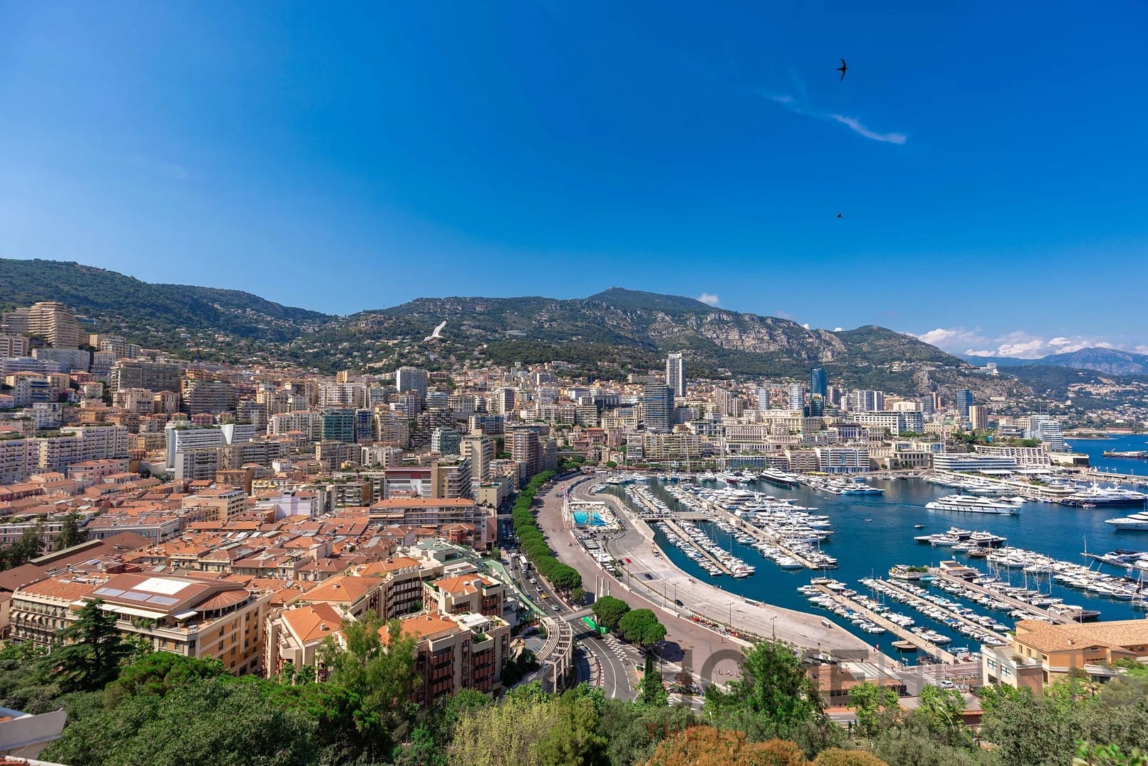 property_HH-15721303-2