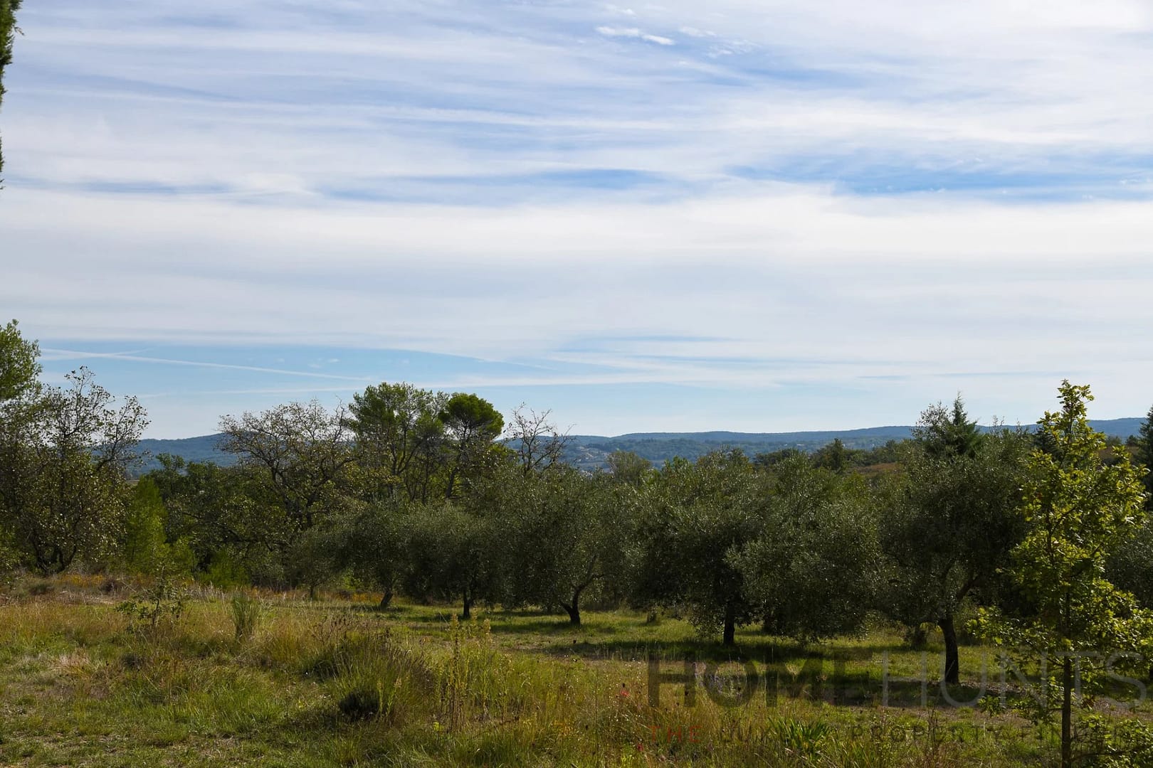 property_HH-15432529-11