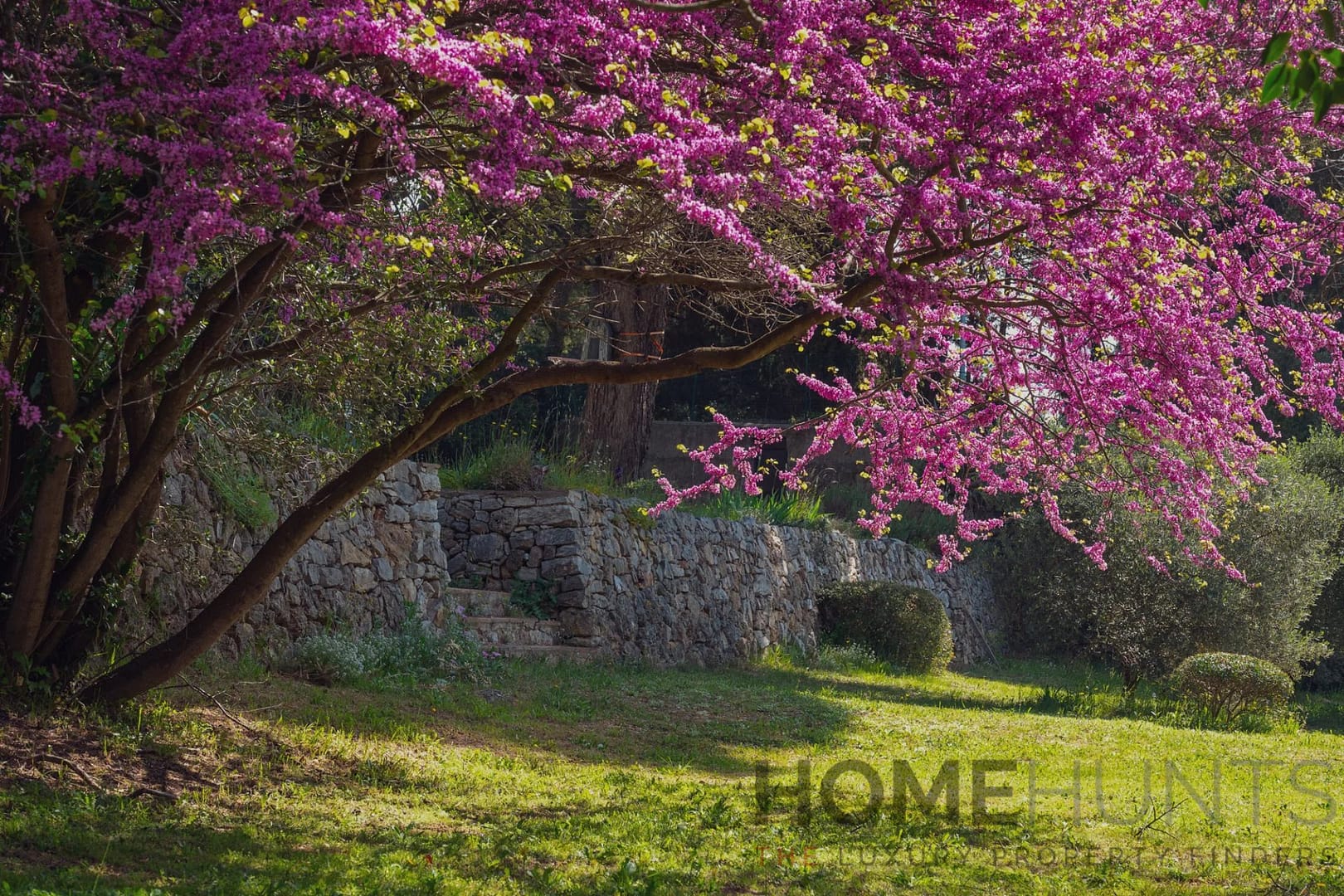 property_HH-15841434-17