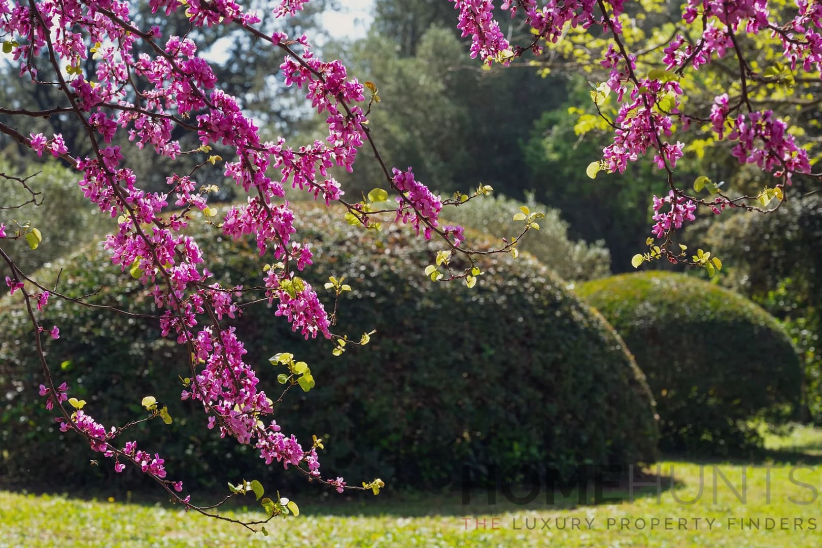 property_HH-15841434-5