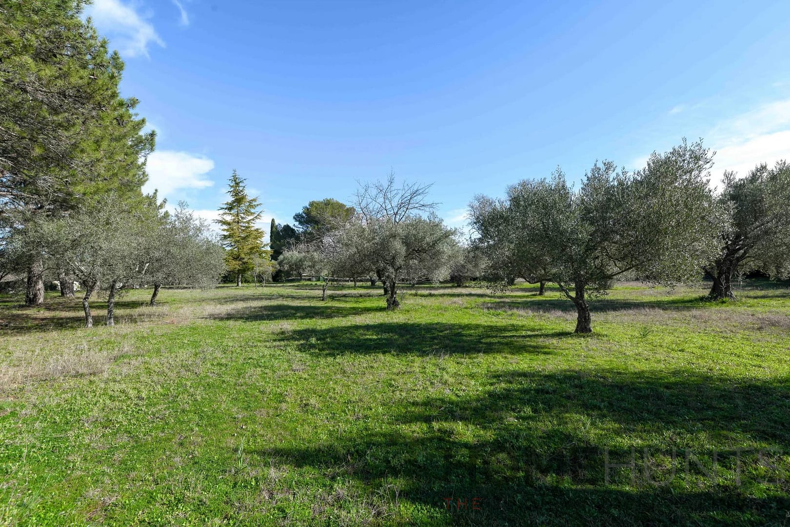 property_HH-15439922-3