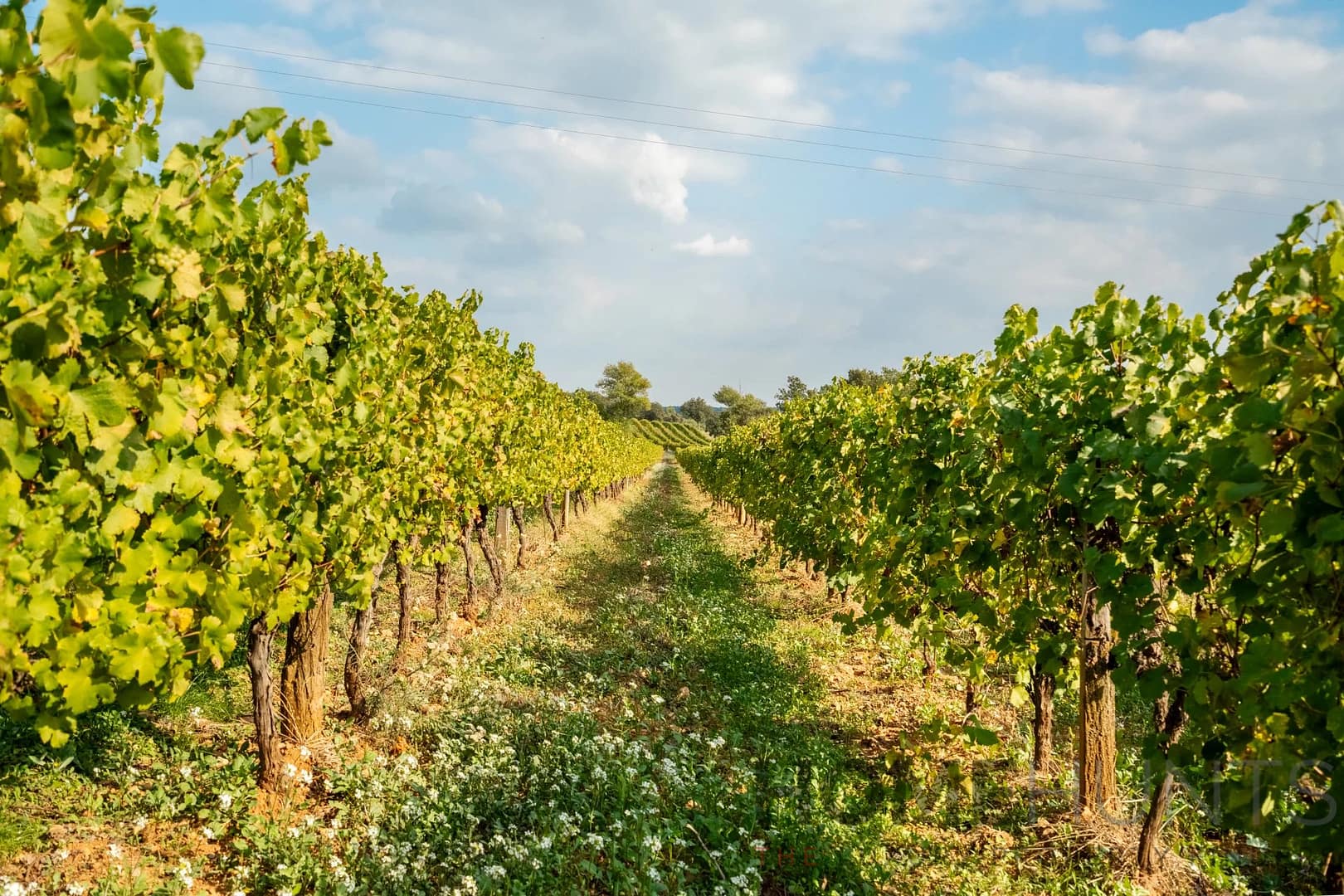 property_HH-15960836-5