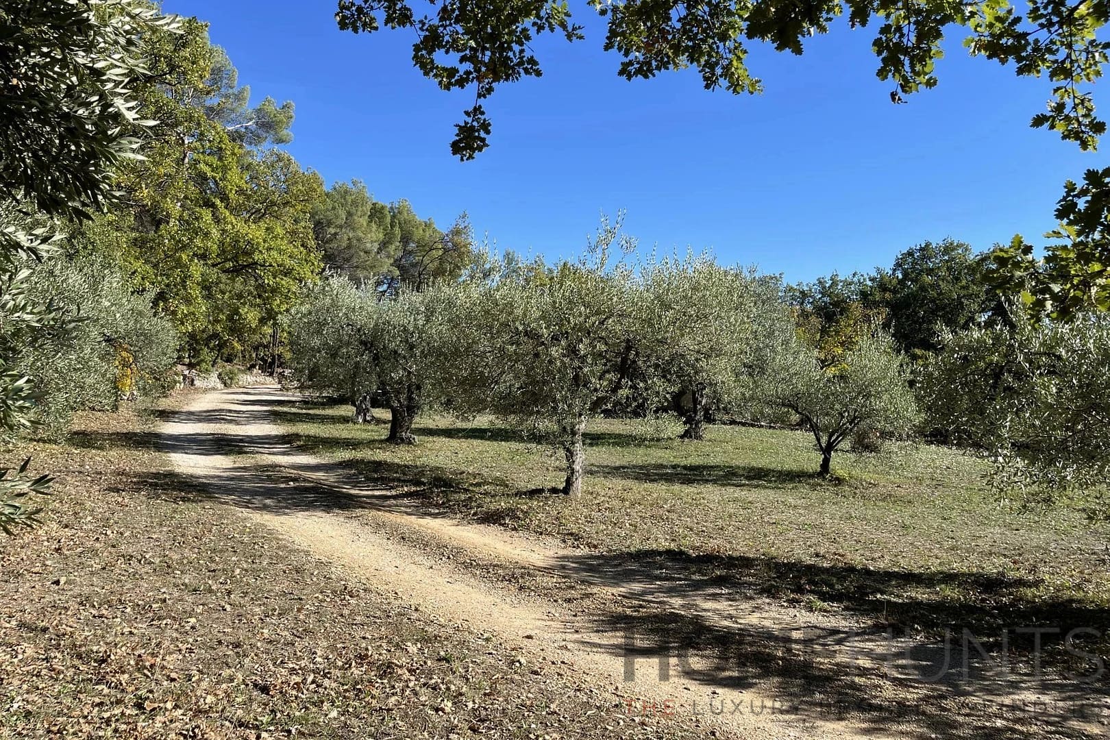 property_HH-15987720-22