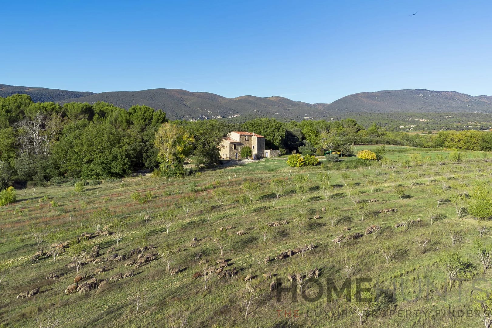 property_HH-15987839-15