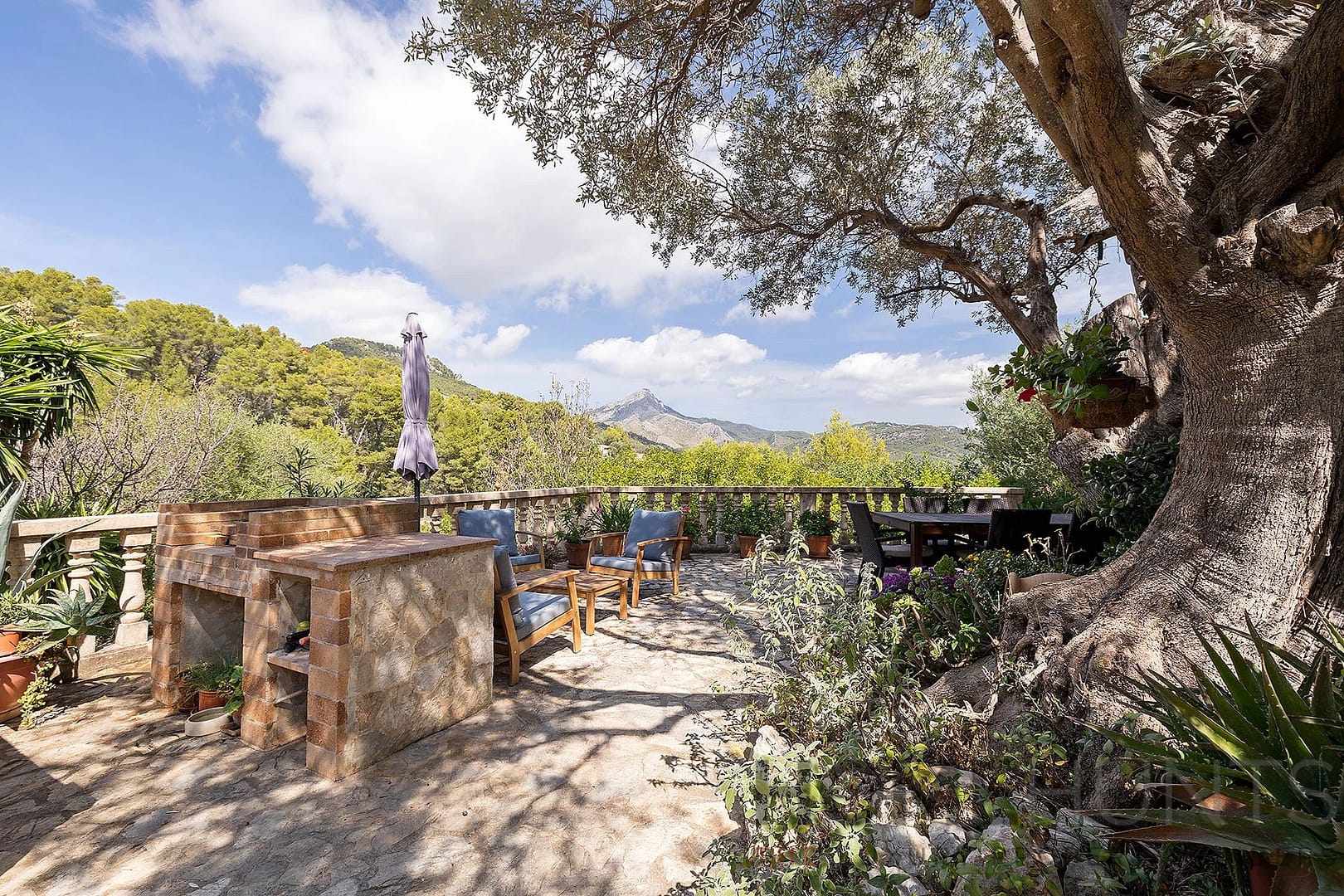 property_HH-15989476-19