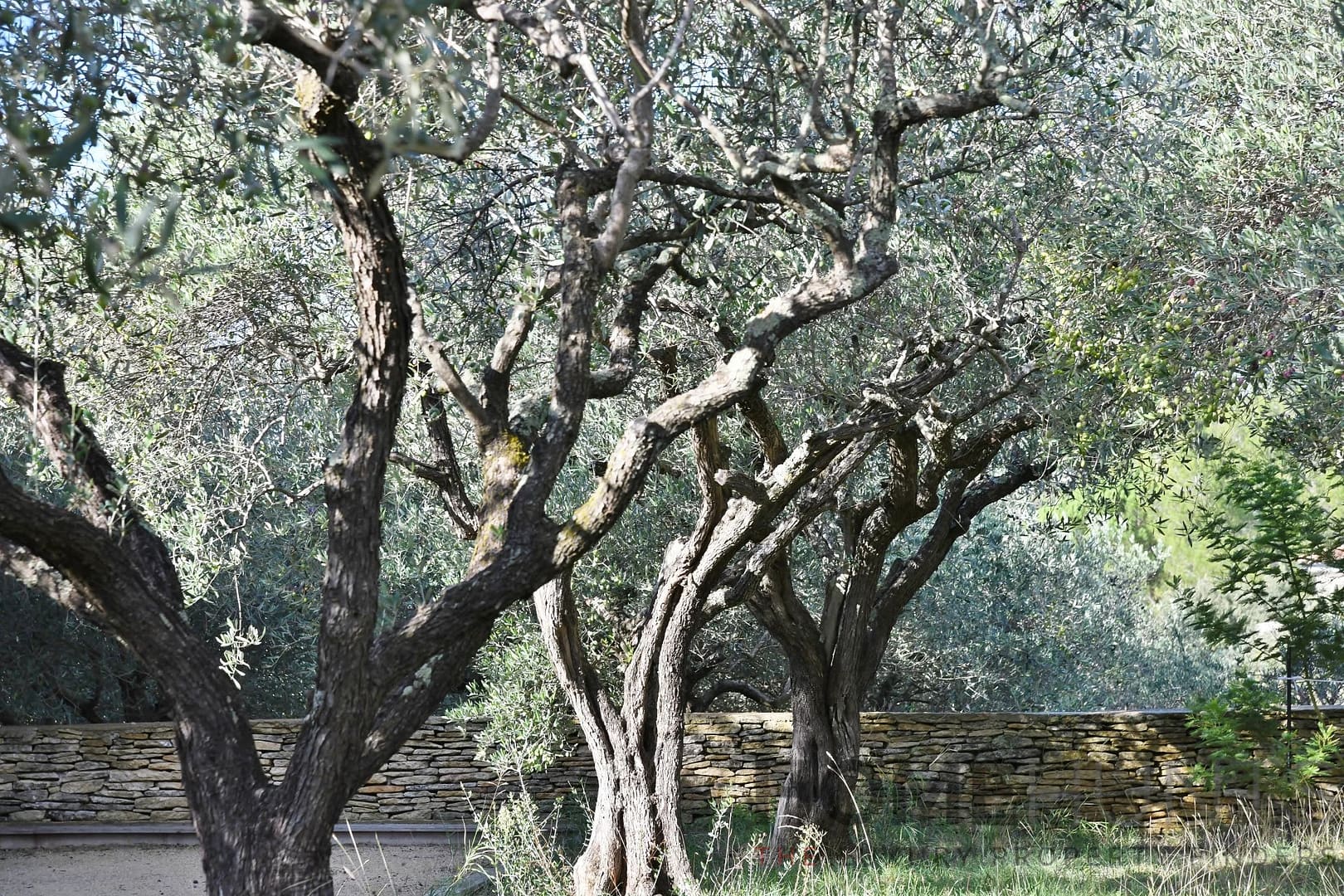 property_HH-15990663-5