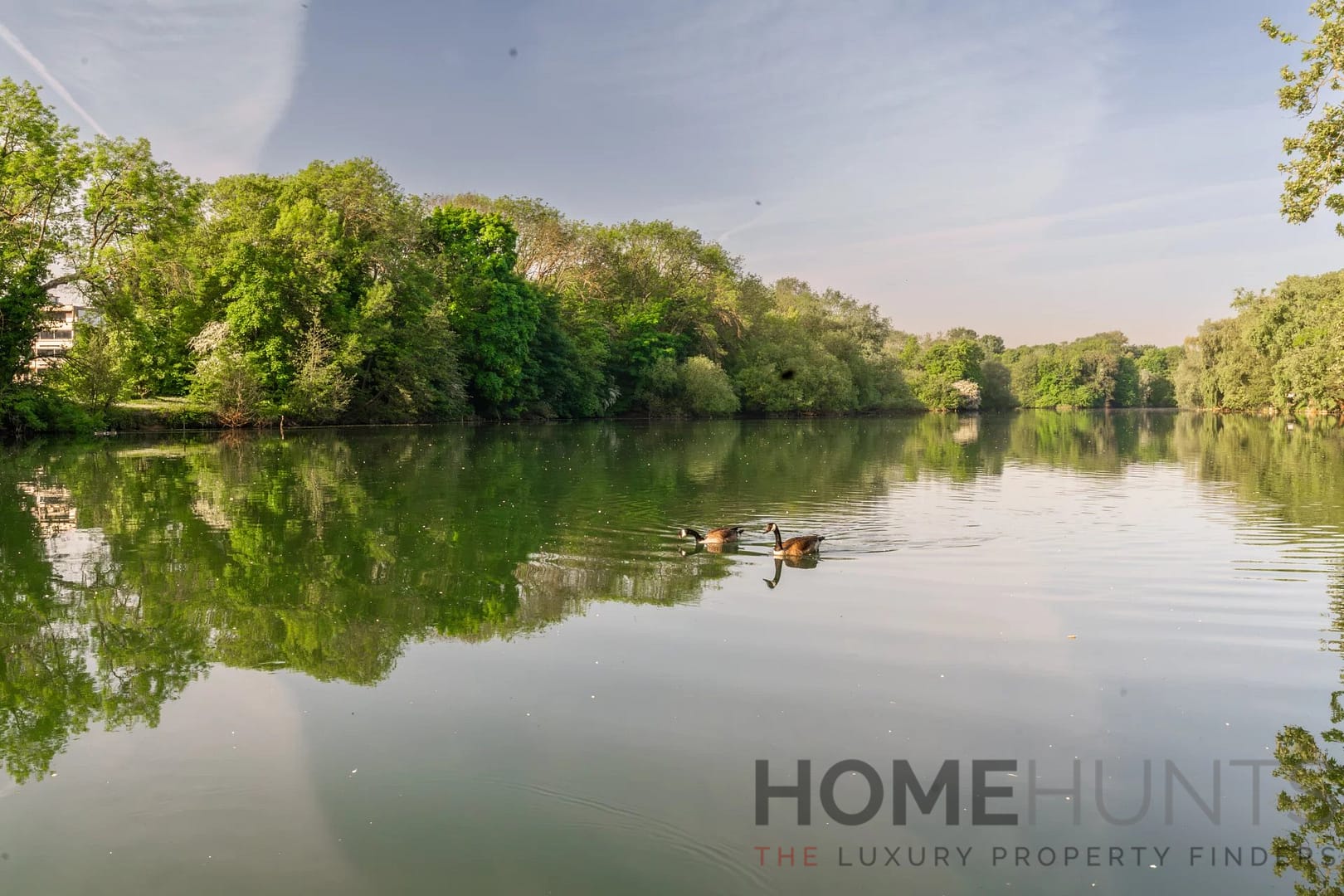 property_HH-16017972-20