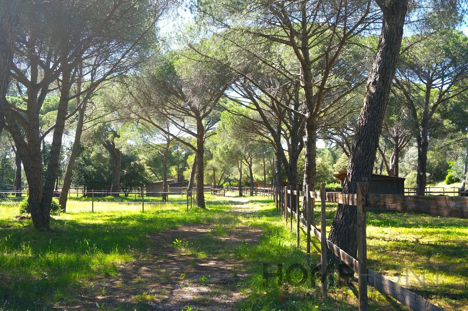 property_HH-16014212-12