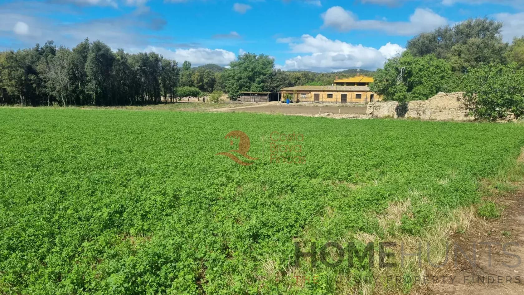 property_HH-15899802