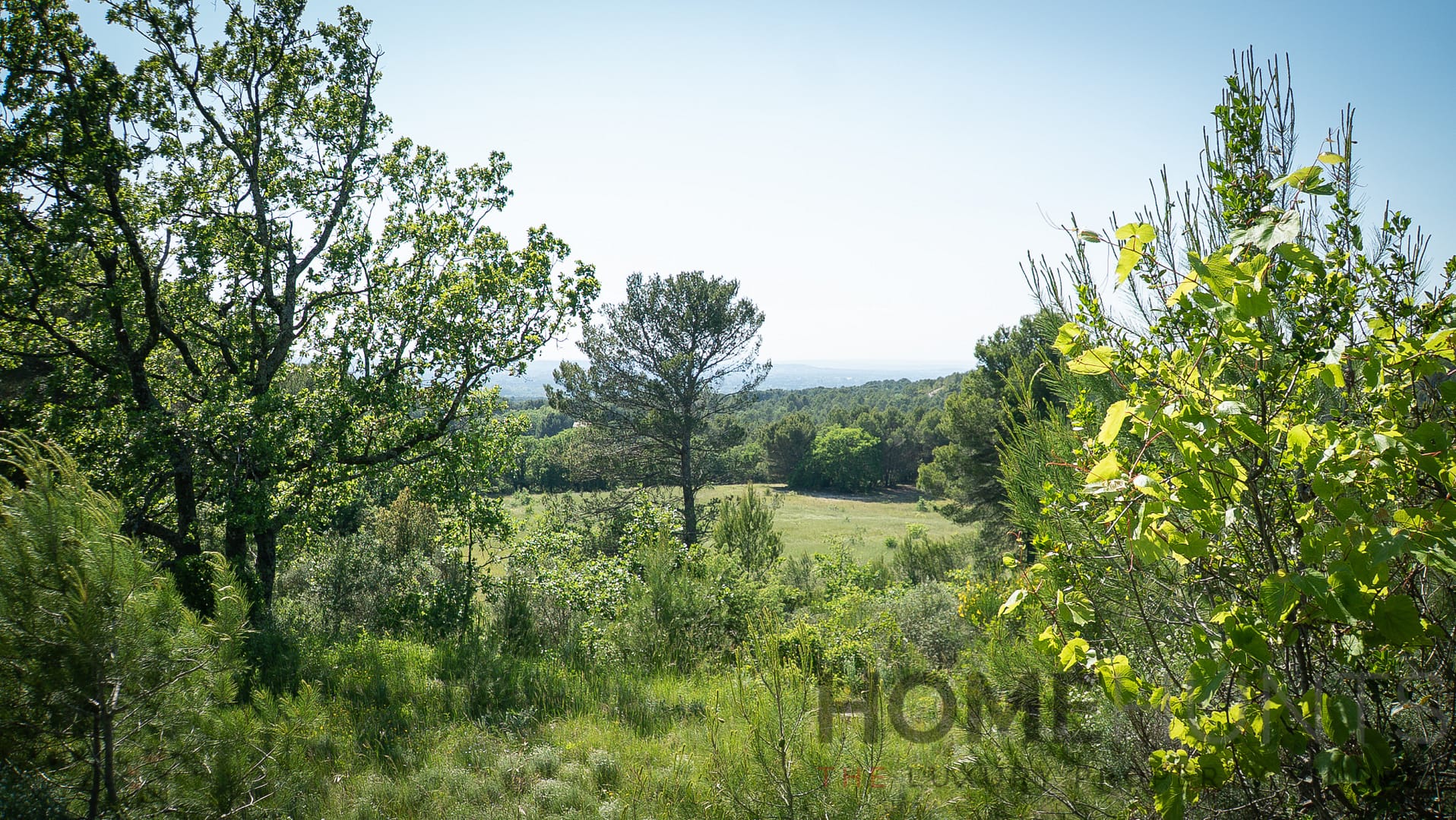 property_HH-15950625-11