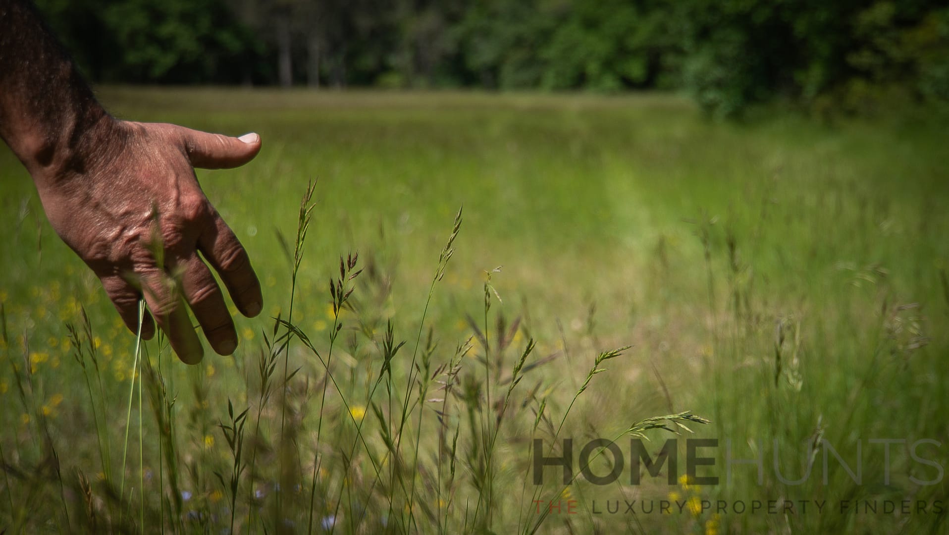 property_HH-15950625-9