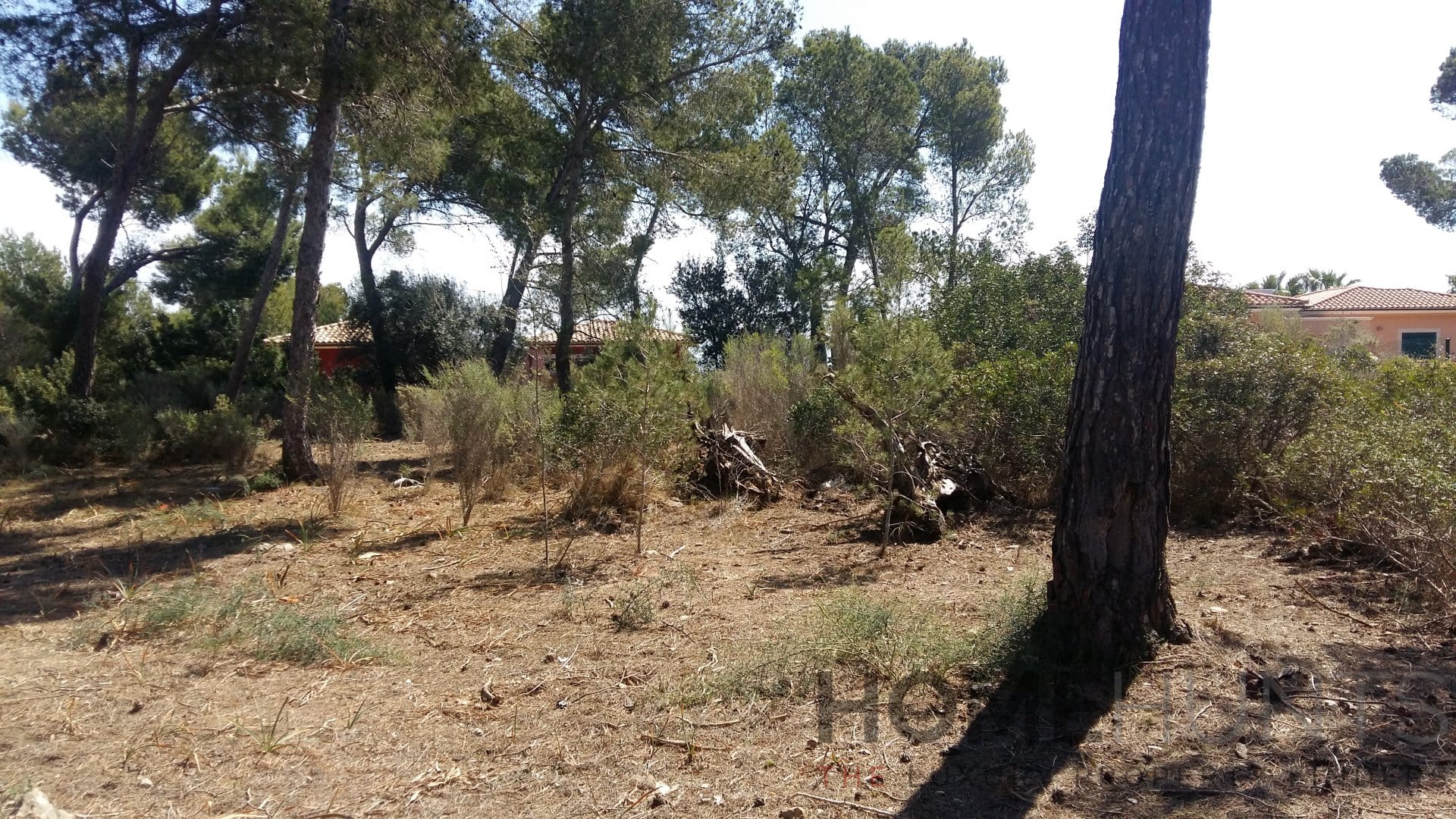 property_HH-13938575-12