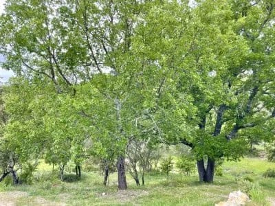 property_HH-15601932-12