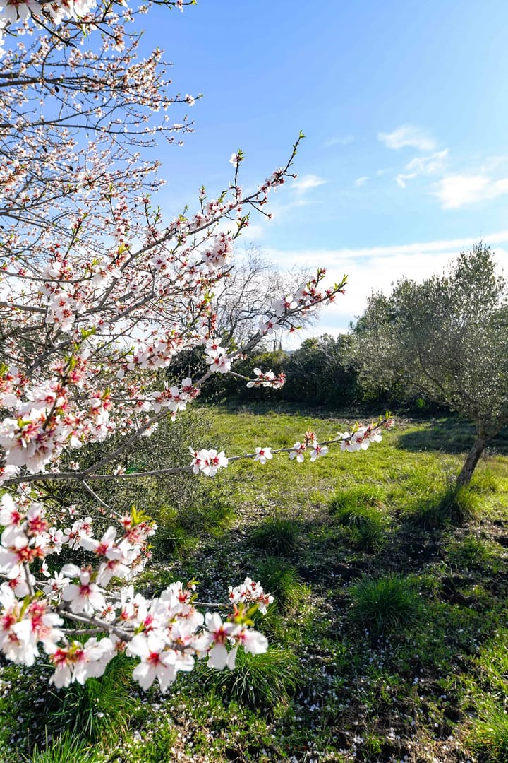 property_HH-15439922-12