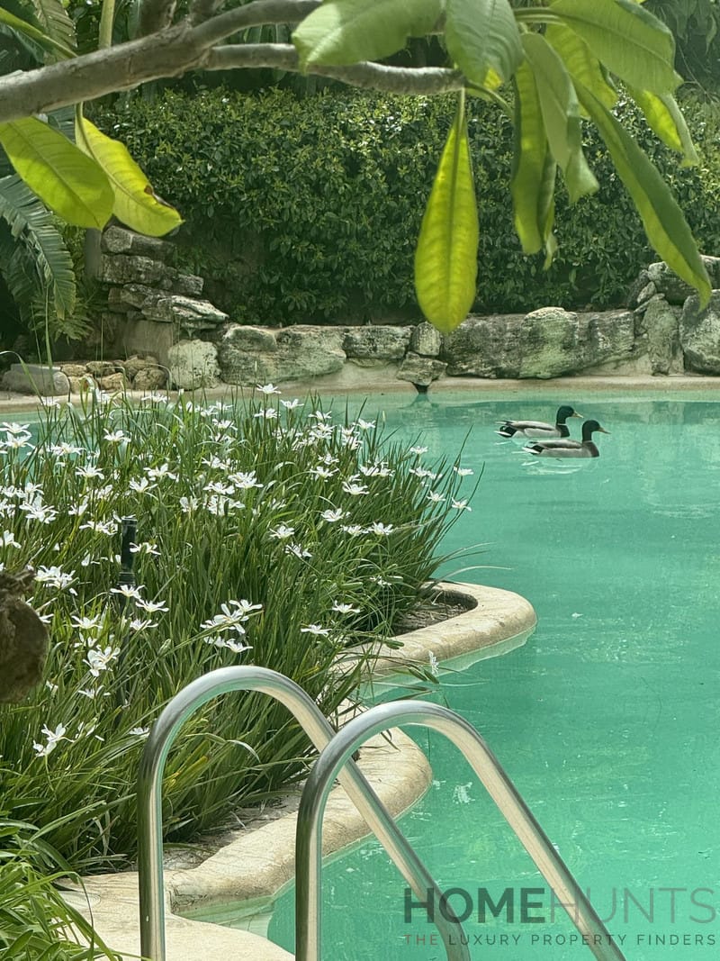 property_HH-15958278-27