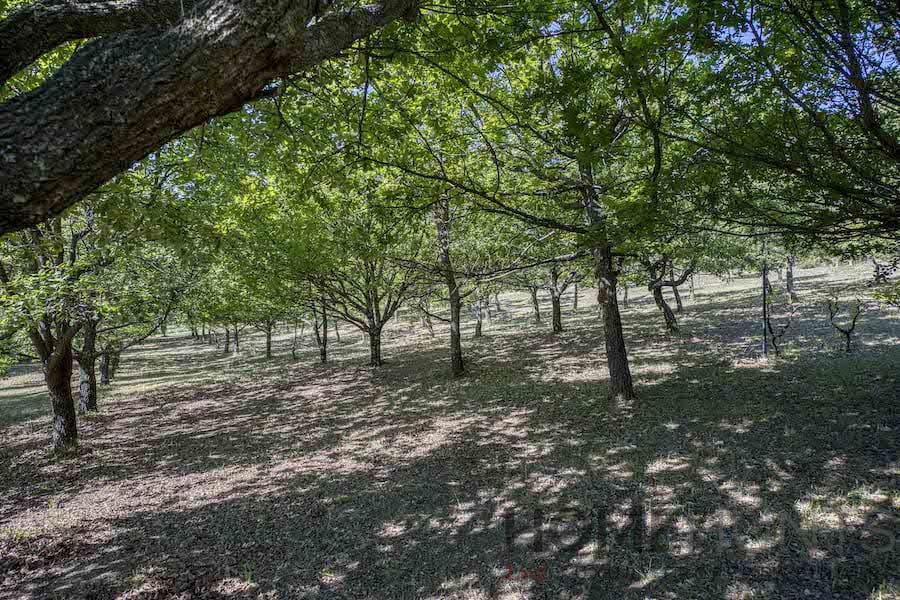 property_HH-15969192-6