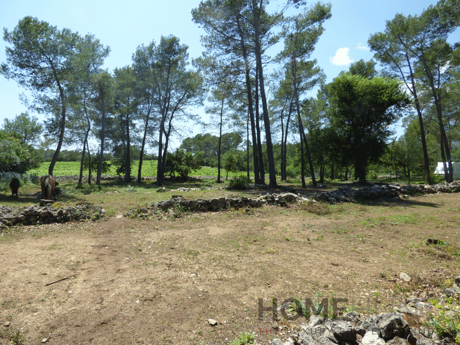 property_HH-15040980-12