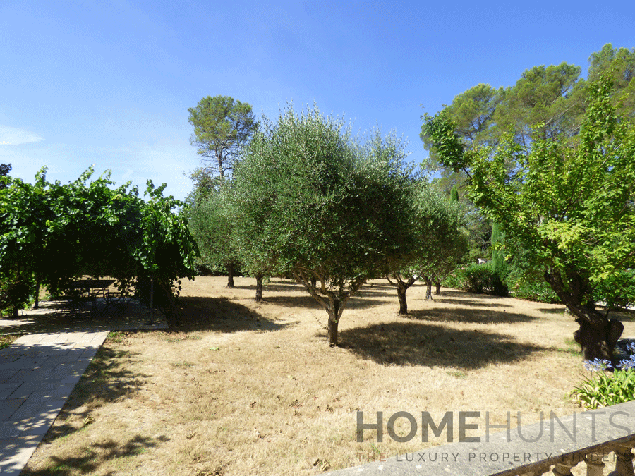 property_HH-15871461-5