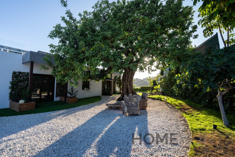 property_HH-15643299-25