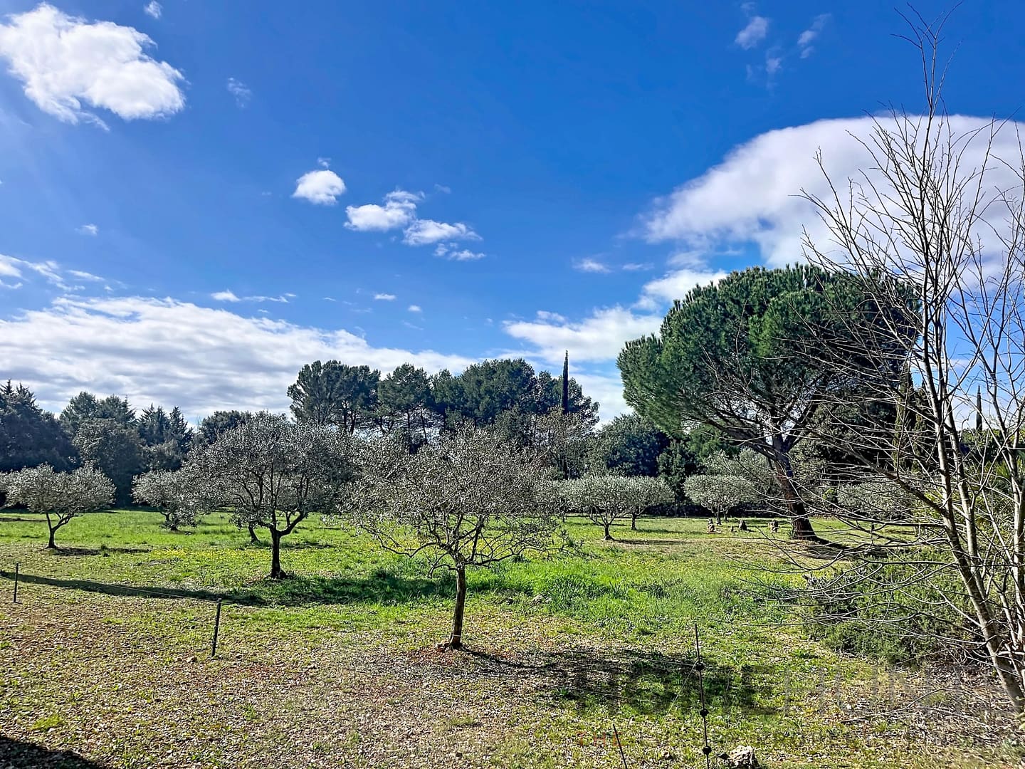 property_HH-16118828-2