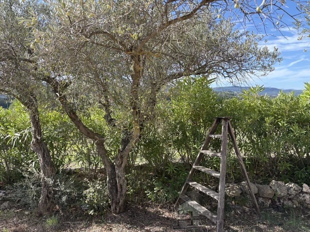 property_HH-16014236-2