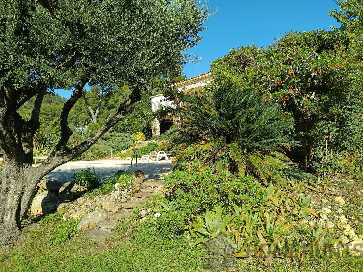 property_HH-16014211-1