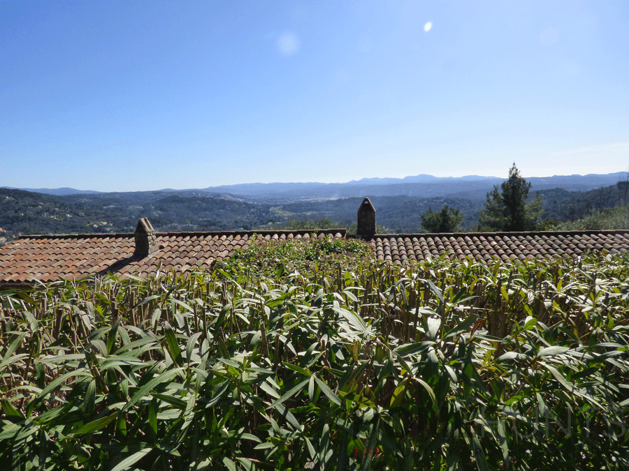 property_HH-15707501-14