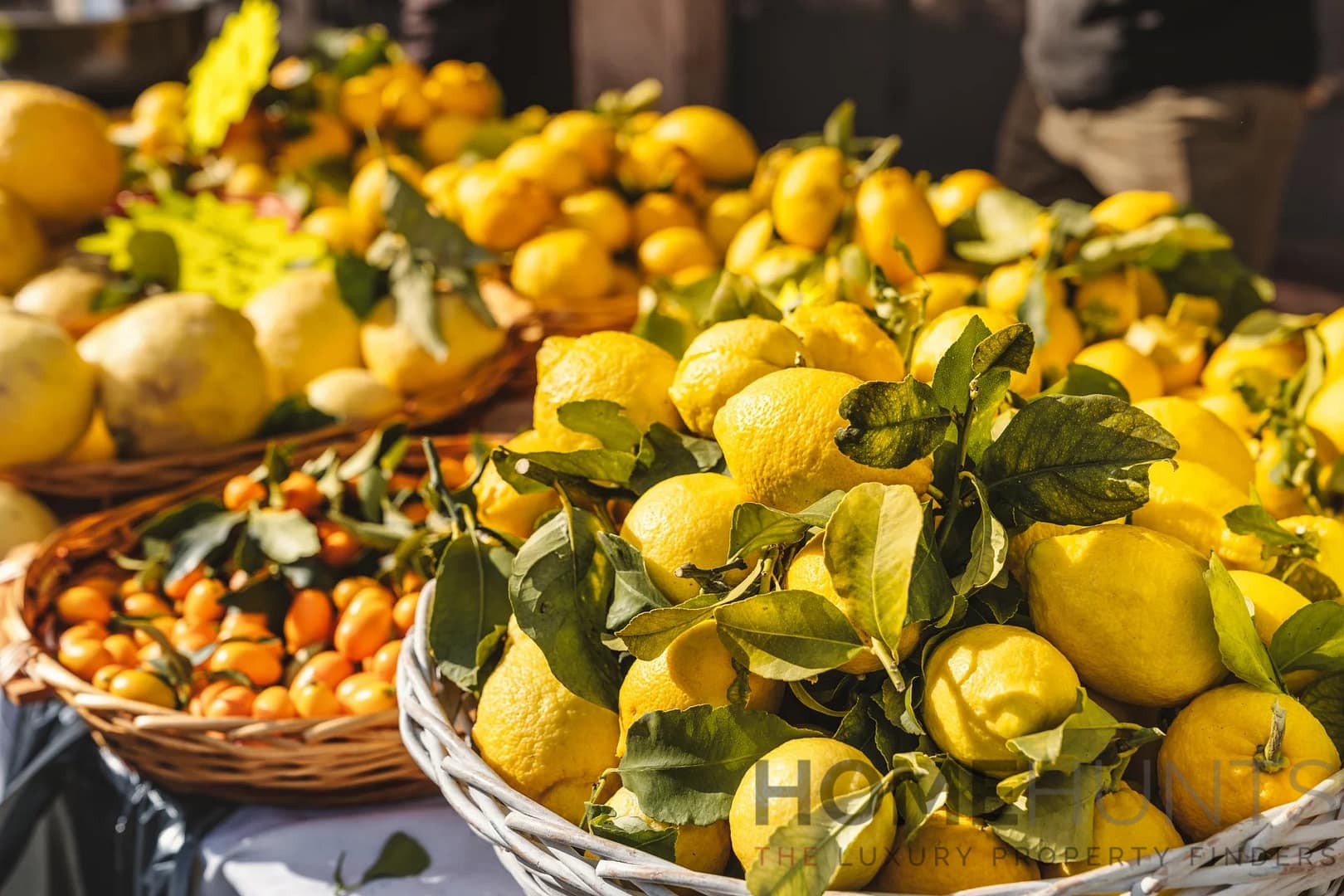 property_HH-16125733-6