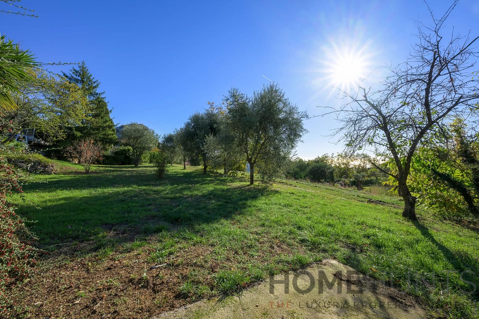 property_HH-16074292-11