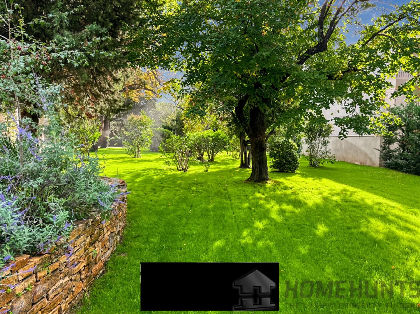 property_HH-16017989-15