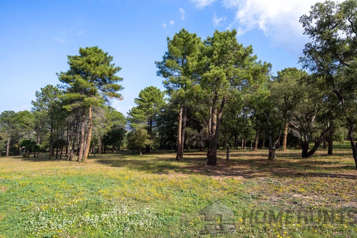 property_HH-15970604-26