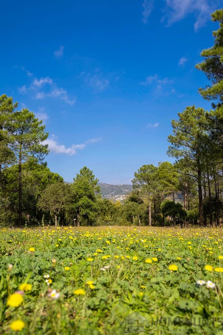 property_HH-15970604-27