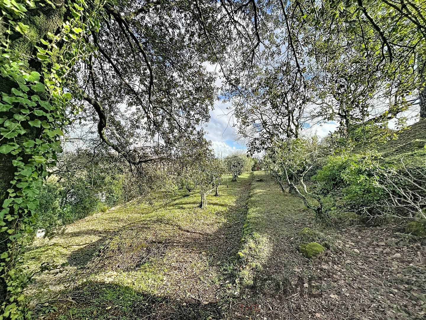 property_HH-16068774-4