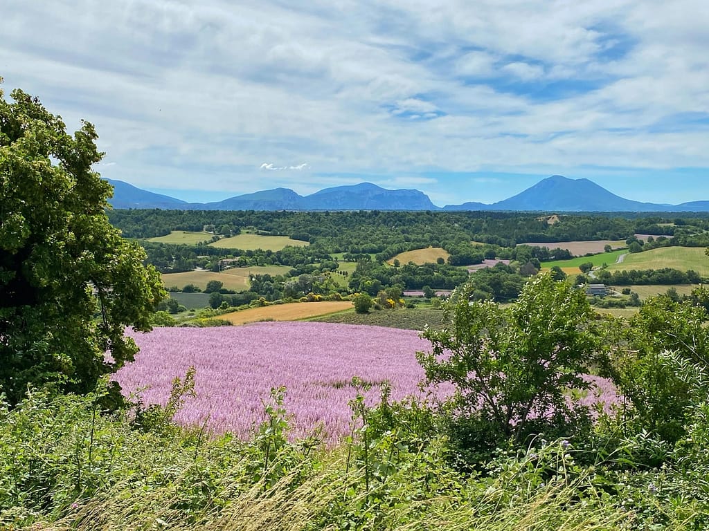 property in france