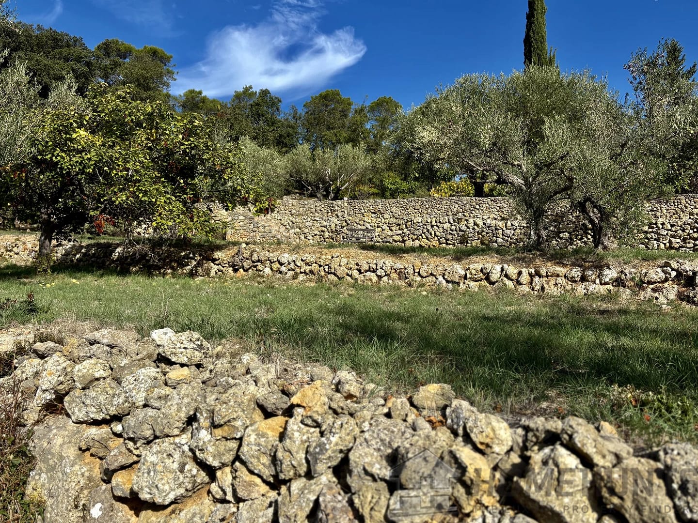 property_HH-16014236-25