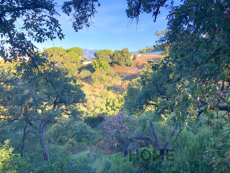 property_HH-15641038-5