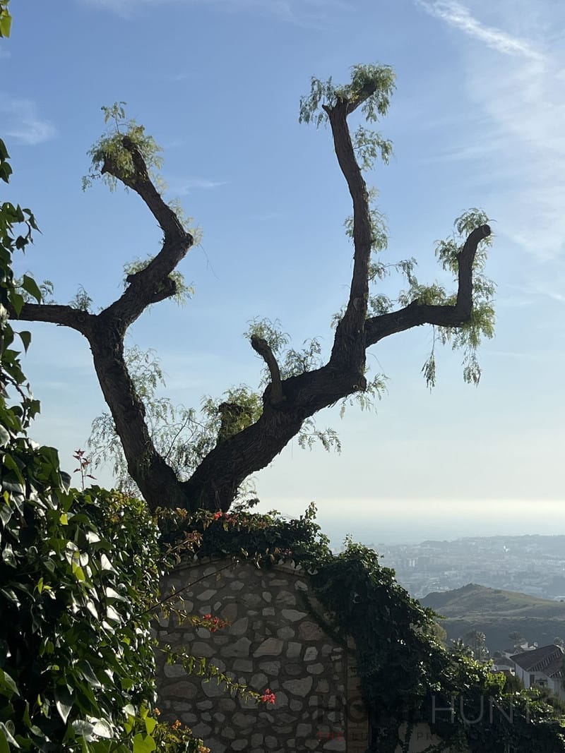 property_HH-16021962-10