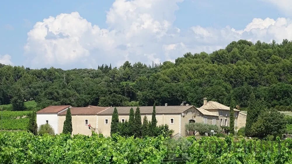 Vineyard in Bollene 12